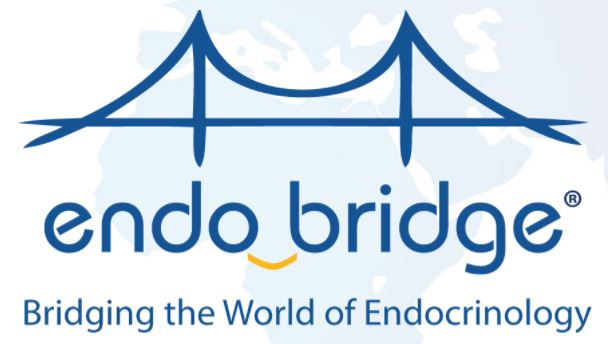 Sixth EndoBridge meeting, Antalya, Turkey