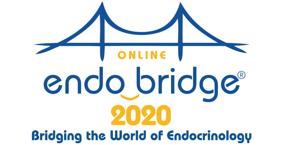 EndoBridge Online meeting